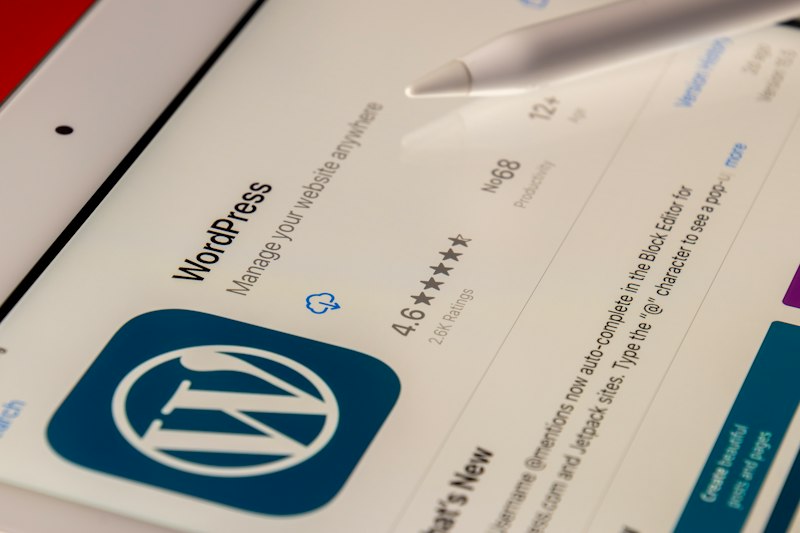 Wordpress Türkçe Karakter Hatası
